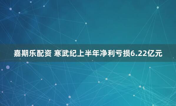 嘉期乐配资 寒武纪上半年净利亏损6.22亿元