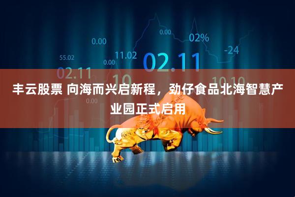 丰云股票 向海而兴启新程，劲仔食品北海智慧产业园正式启用