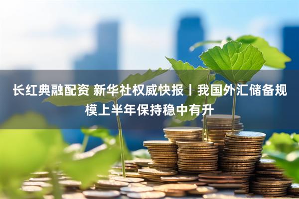 长红典融配资 新华社权威快报丨我国外汇储备规模上半年保持稳中有升