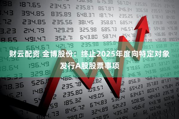 财云配资 金博股份：终止2025年度向特定对象发行A股股票事项
