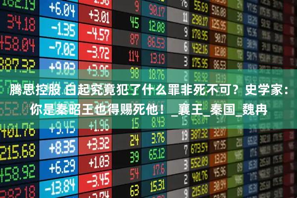 腾思控股 白起究竟犯了什么罪非死不可？史学家：你是秦昭王也得赐死他！_襄王_秦国_魏冉