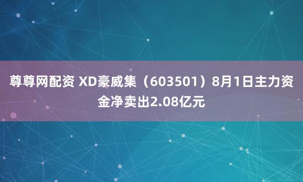 尊尊网配资 XD豪威集（603501）8月1日主力资金净卖出2.08亿元