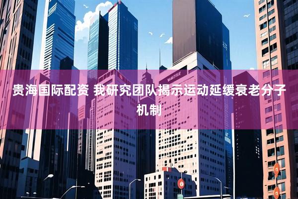 贵海国际配资 我研究团队揭示运动延缓衰老分子机制